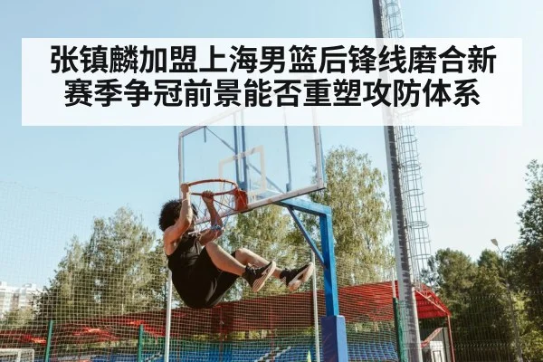 张镇麟加盟上海男篮后锋线磨合新赛季争冠前景能否重塑攻防体系